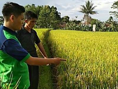 bbpplembang artikel IPW