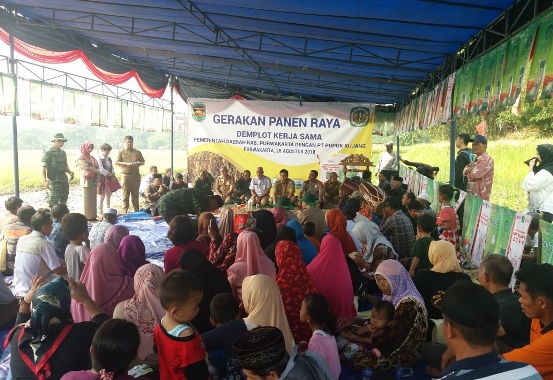 bbpplembang panenpadi demplotpurwakarta1