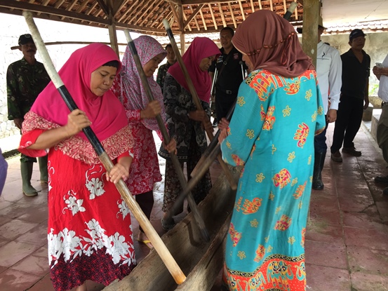 bbpplembang panenpadi purwakarta1
