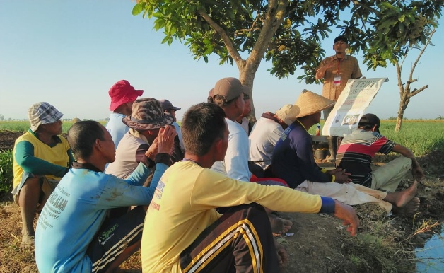 bbpplembang pelatihan fungsional 1618 3