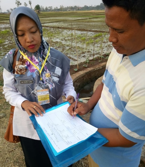bbpplembang pelatihan fungsionalpenyuluh ang13155