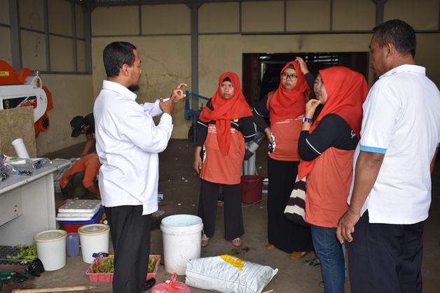 bbpplembang pelatihan palu