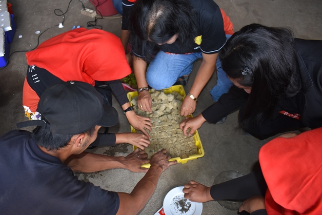 bbpplembang pelatihan palu2