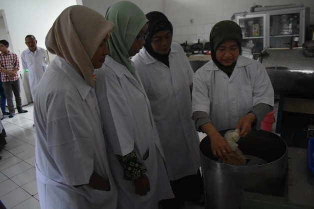 bbpplembang pelatihan pengolahanubi banggailaut2