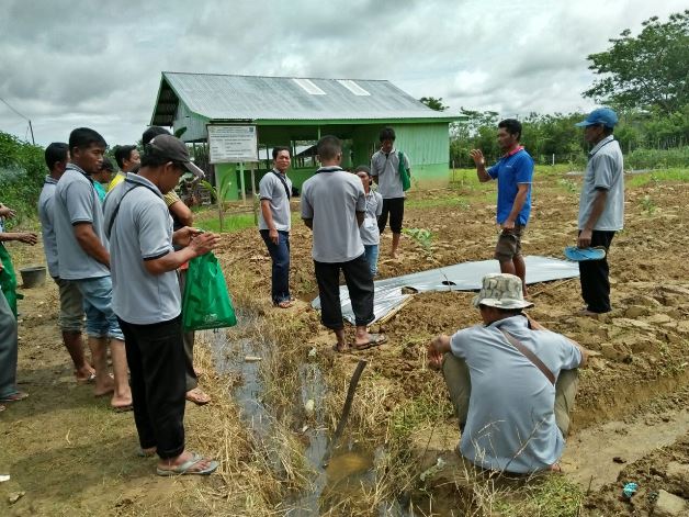 bbpplembang pelatihan tematikcabai-sorong