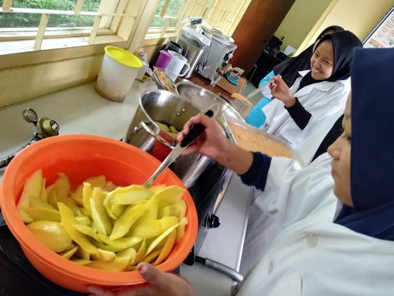 bbpplembang pengolahanmangga manisan