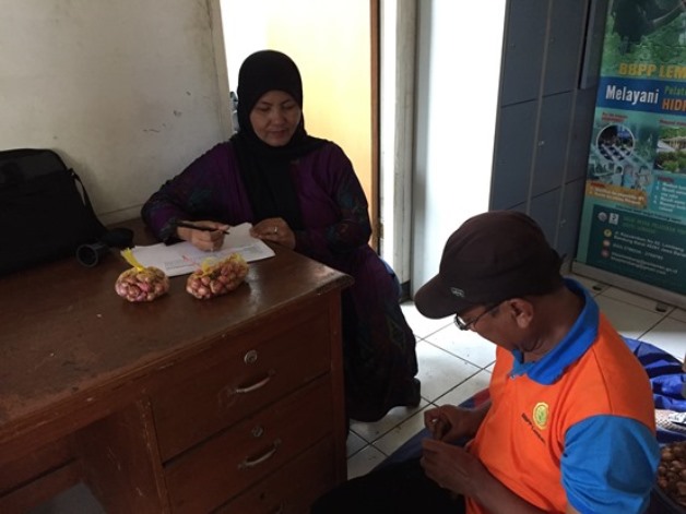 bbpplembang sertifikasi bawang merah6
