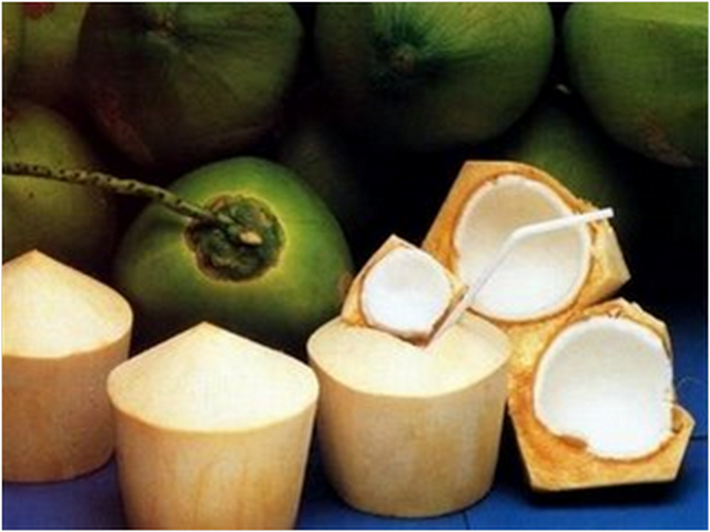 bbppl-kelapa buah.png