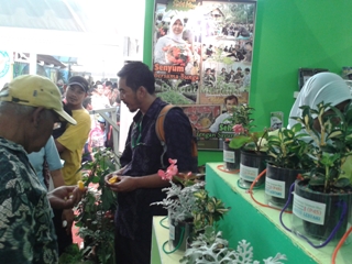 bbppl-pameran P2FN-MTJ