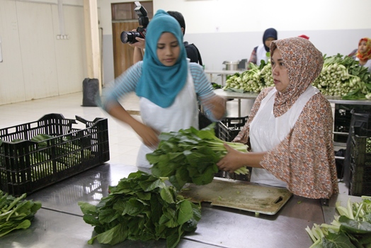 bbpplembang-agribisnis1