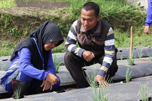 bbpplembang-diklatcabai1