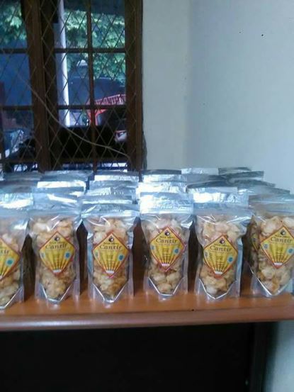 bbpplembang P4SKenanga1