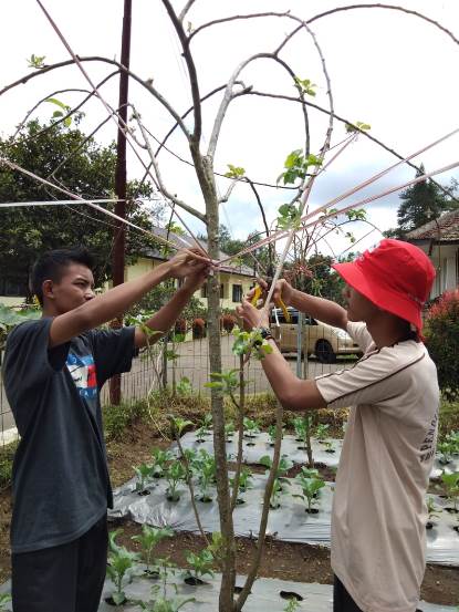 bbpplembang bending apel1