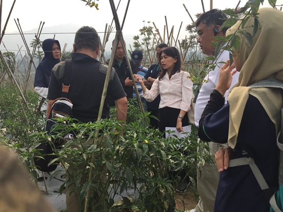 bbpplembang bimtek kelembagaanpetani