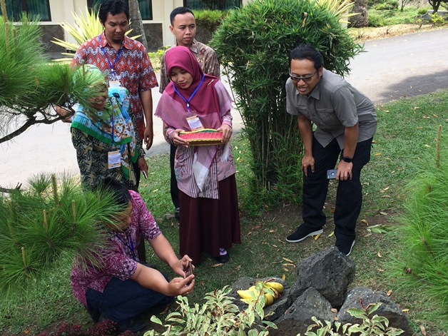 bbpplembang blendedlearning bawangmerah2