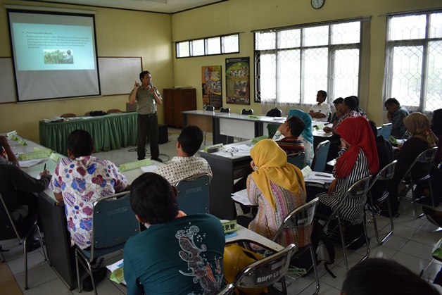 bbpplembang diklat budidaya cabaimerah