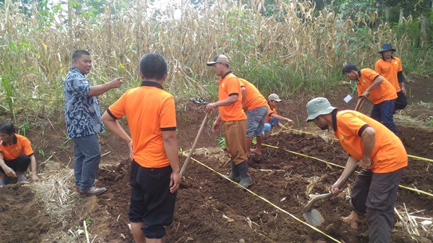 bbpplembang diklat cabaimerah garut2