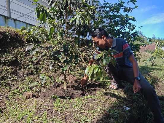 bbpplembang eksplorasi trichoderma1