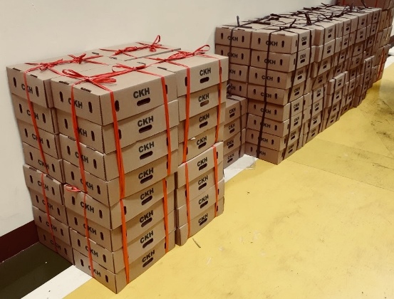 bbpplembang eksporhorti1