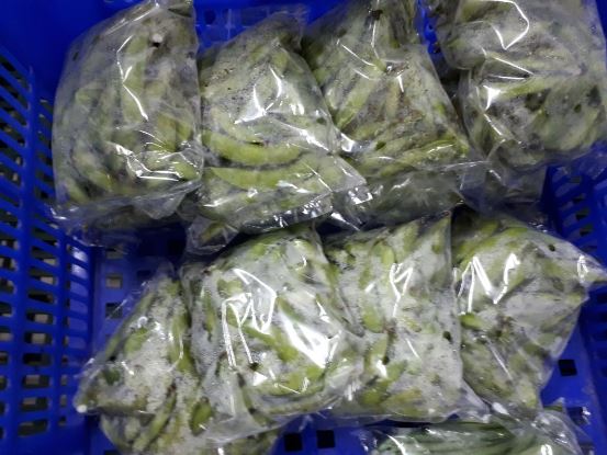 bbpplembang eksporhorti2