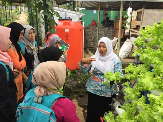 bbpplembang followup pemanfaatanpekarangan