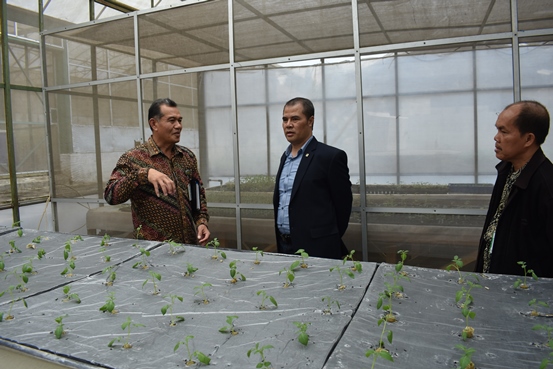 bbpplembang kunjungan DPD3