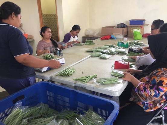 bbpplembang kunjungan IPB2