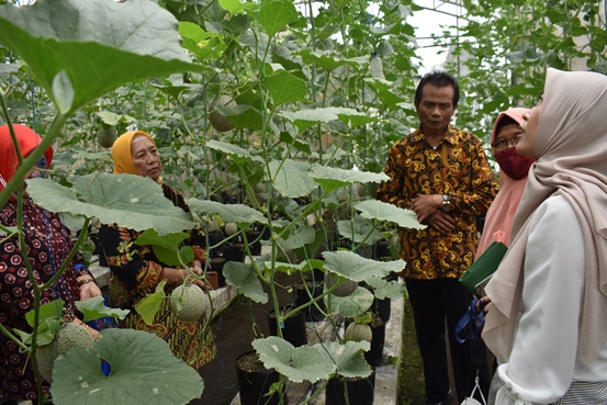 bbpplembang kunjungan KWTDelimaDepok2