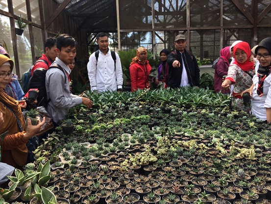 bbpplembang kunjungan KWTKBB