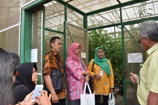 bbpplembang kunjungan UFsolo1