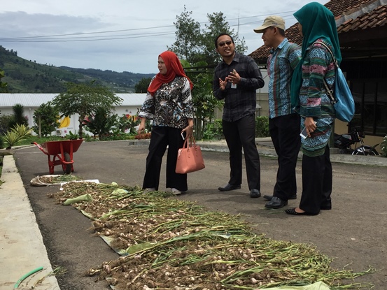 bbpplembang kunjungan bangkatengah1