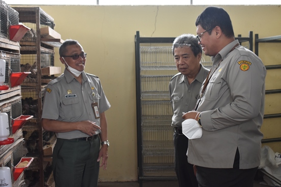 bbpplembang kunjungan direktur PEPI1