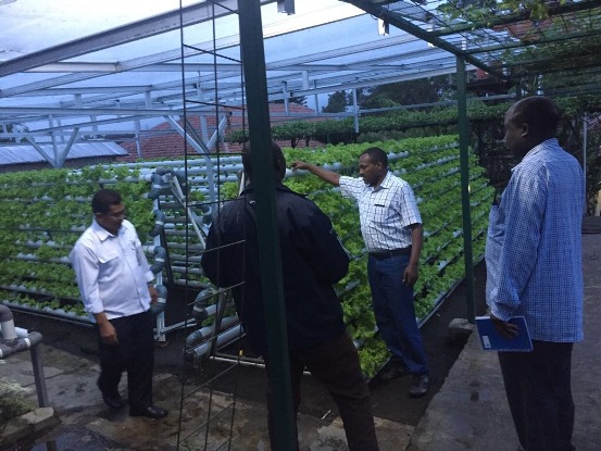 bbpplembang kunjungan kenya