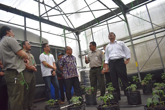 bbpplembang kunjungan mentan1