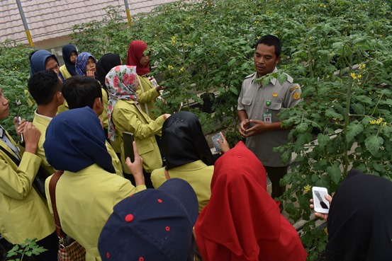 bbpplembang kunjungan musirawas