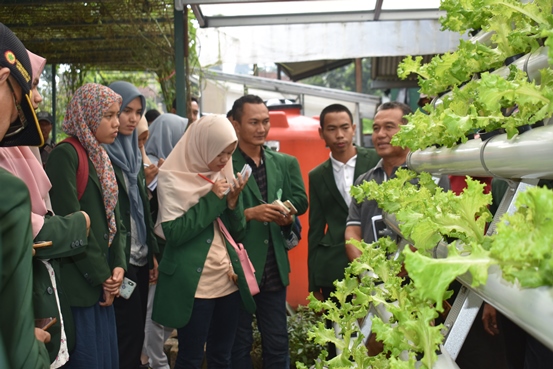 bbpplembang kunjungan polbangtanbogor32019