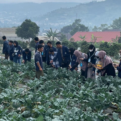 bbpplembang kunjungan politekniknegerilampung1