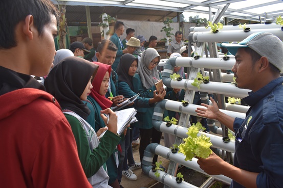 bbpplembang kunjungan unilaperkebunan1