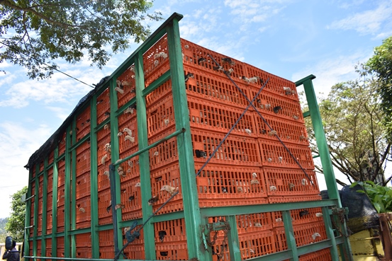 bbpplembang kunker mentan sumedang3