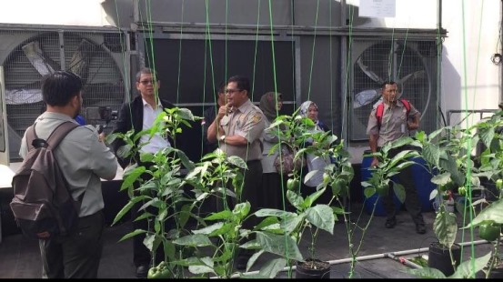 bbpplembang kunpresBPPSDMP2