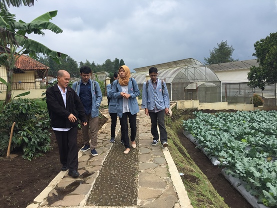 bbpplembang magangUPI1