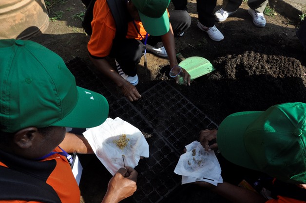 bbpplembang magang papua2