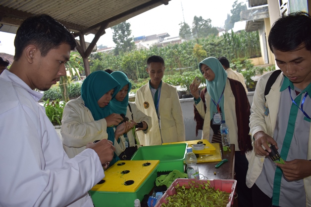 bbpplembang magang purworejo2