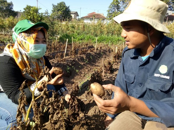 bbpplembang magang unila3