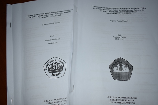 bbpplembang magang unila5