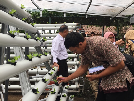 bbpplembang magang uptdpayakumbuh2