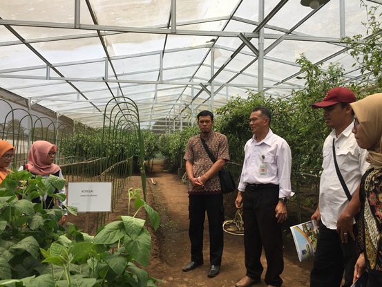 bbpplembang magang uptdpayakumbuh4