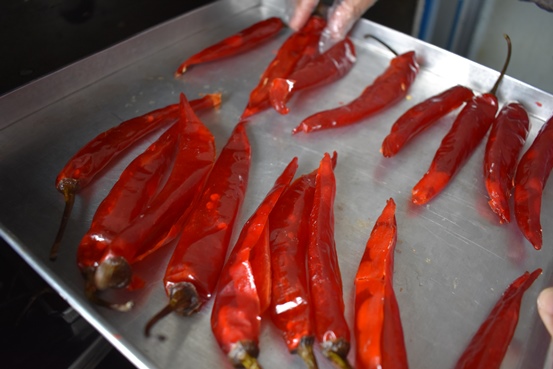 bbpplembang manisancabai1