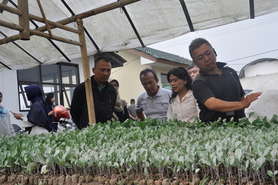 bbpplembang p4s lembangagri