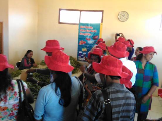 bbpplembang p4s lembangagri2